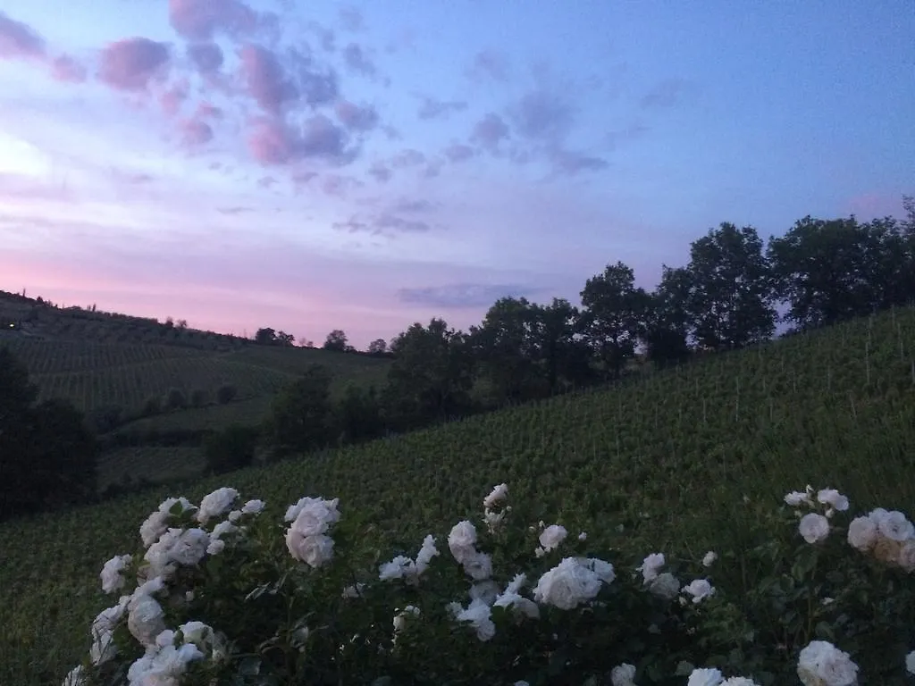 Villa Del Sole San Gimignano Country house