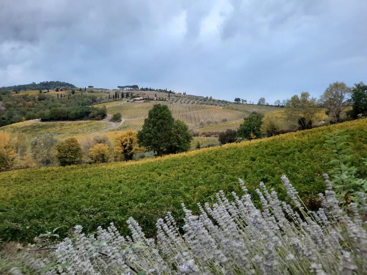 Villa Del Sole San Gimignano İtalya