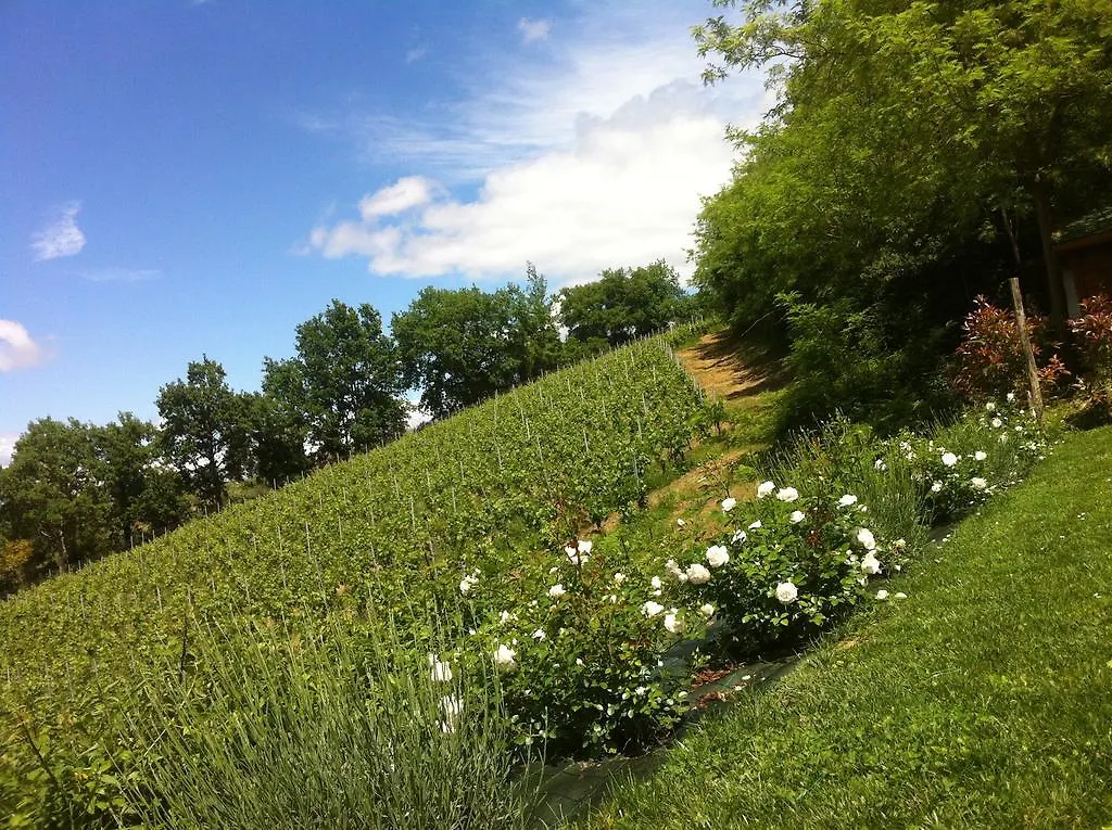 Villa Del Sole San Gimignano Italie